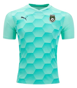 Keeper Men's Puma Graphic Jersey-Glimmer Green