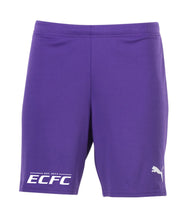 Men's Team GK Goal Short- Purple